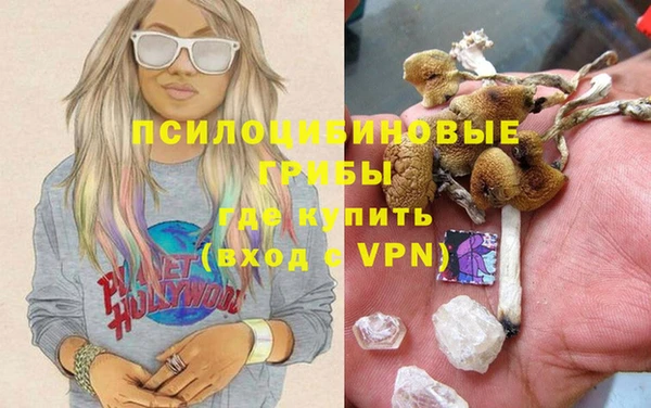 трава Балахна